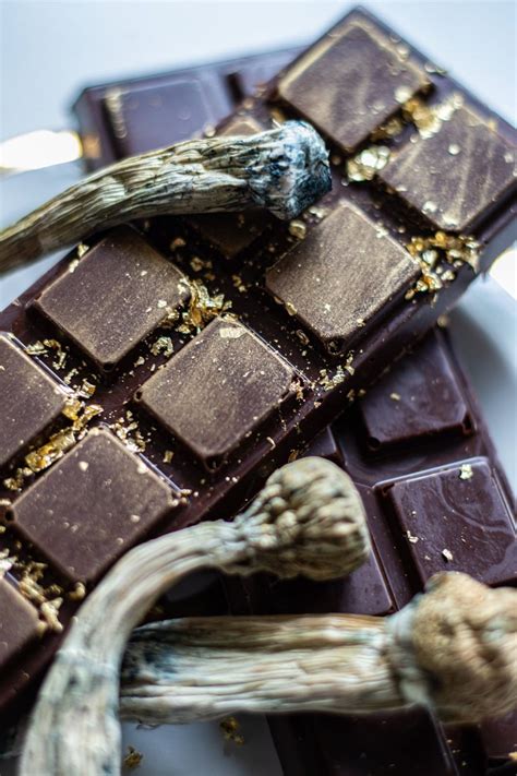 Indulge in Guilt-Free Chocolate with Magix Mushroom Bars from Etsy